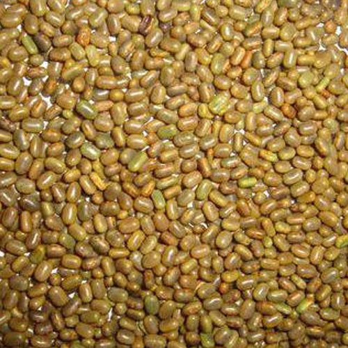 Dhaincha Grain